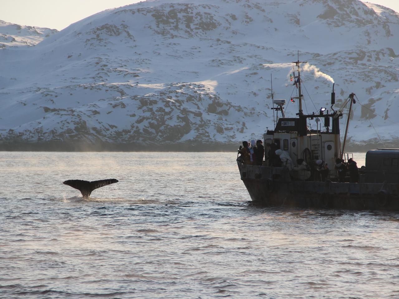 Экскурсия в Териберке с морской прогулкой