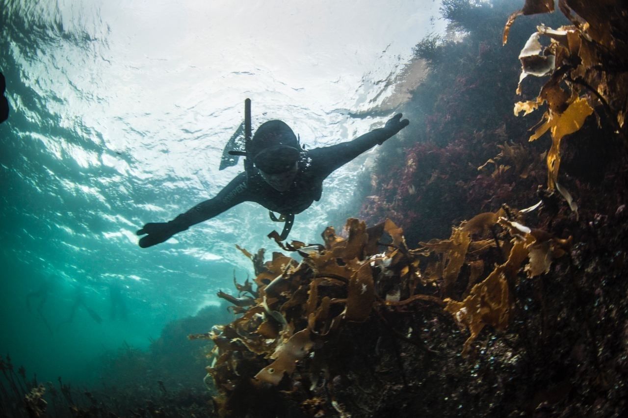 Арктический снорклинг и фридайвинг в Териберке