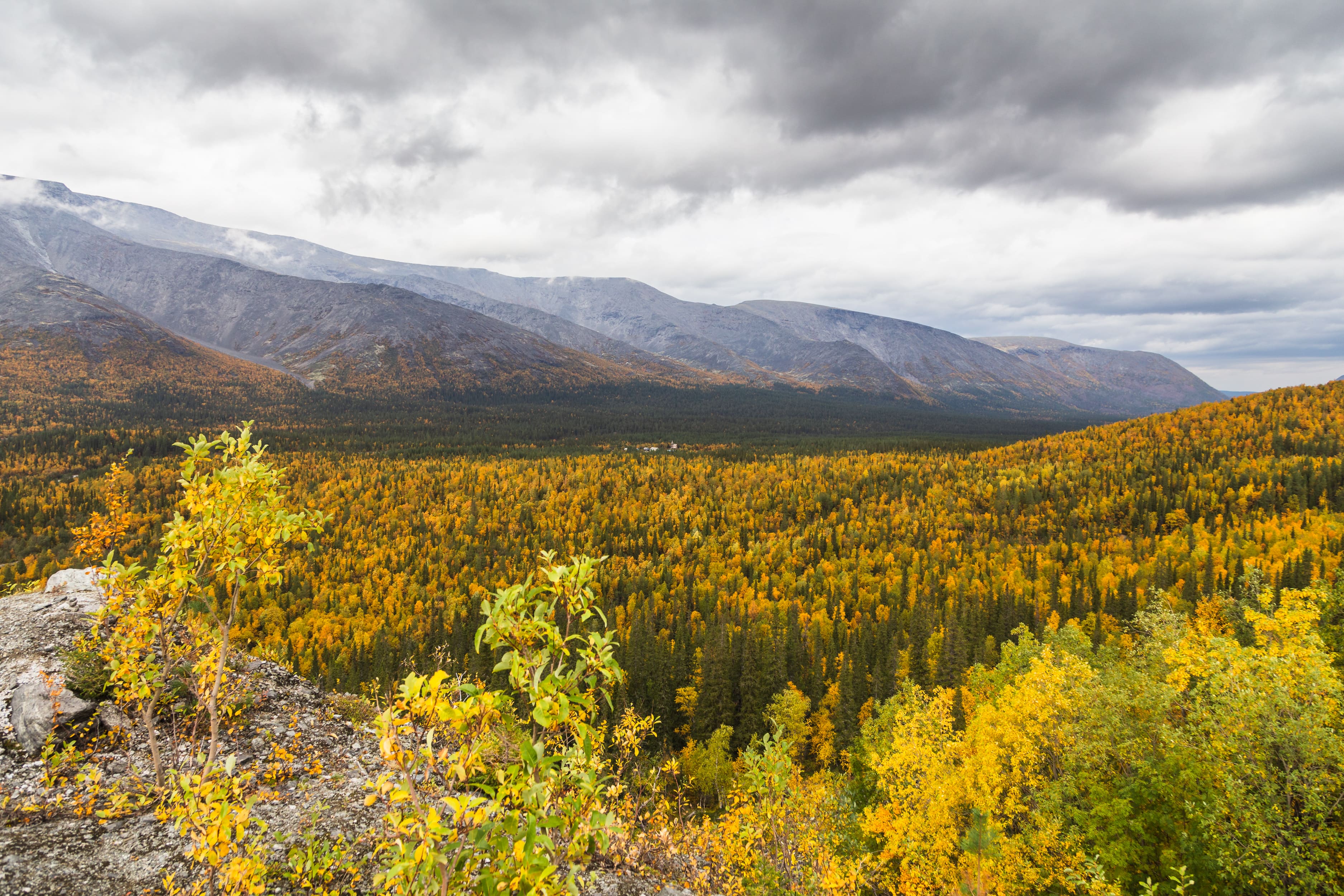 Тур «Арктическая осень»