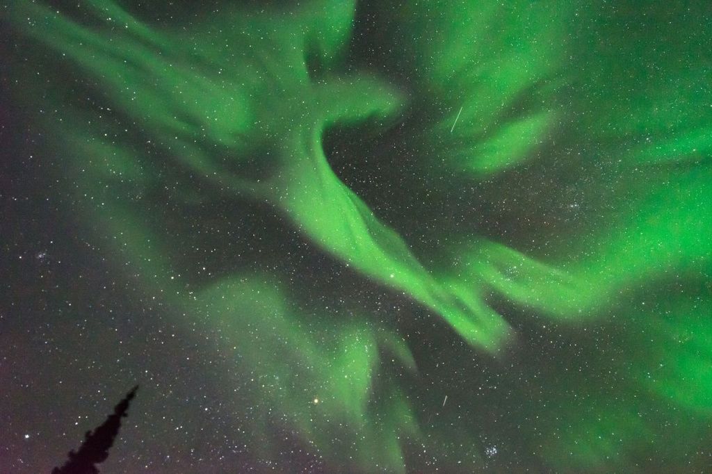 Авторский тур «Арктические каникулы»