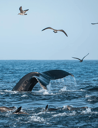 Экспресс-тур «Май на Кольском»
