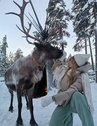 Этнические туры и северные олени зимой