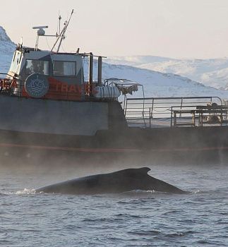 Тур «Дыхание севера» 23 февраля 2025 (завершен)