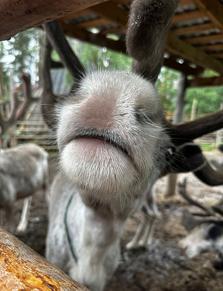 Летний тур «Кольский экспресс» 