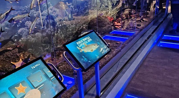 Экскурсия в Мурманский Краеведческий Областной Музей