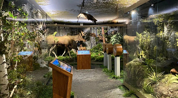 Экскурсия в Мурманский Краеведческий Областной Музей