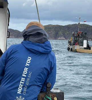 Топ-тур «Китовые приключения»