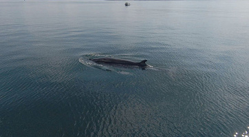 Тур в Териберку + морская прогулка и поиски китов 2 часа, 1 день