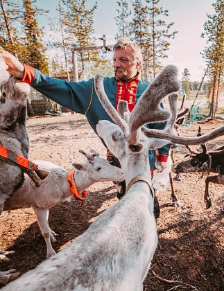 Этнические туры и северные олени летом